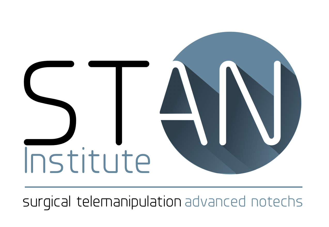 Logo de STAN Institute