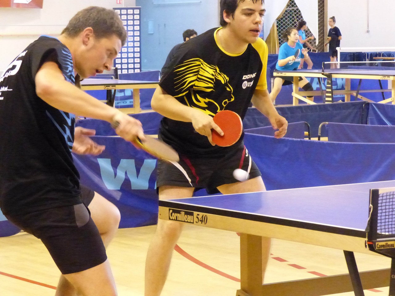 France universitaire de tennis de table 