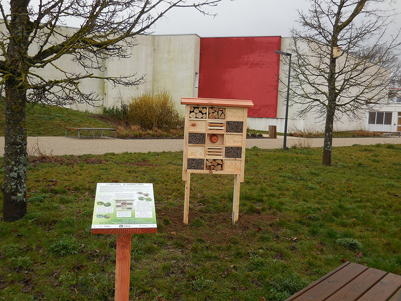 Hôtel à insectes sur le campus Brabois Santé