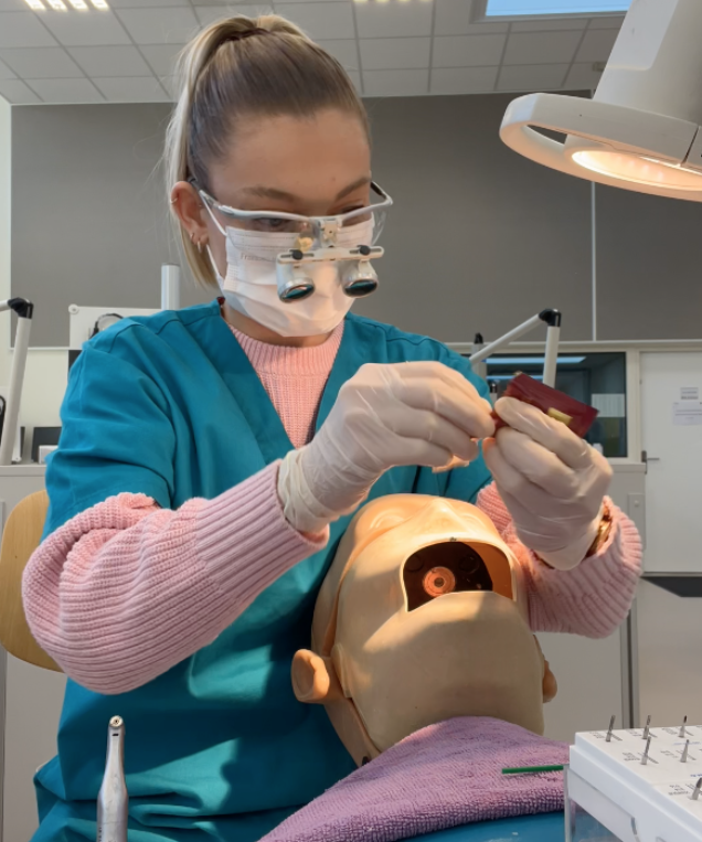 Margaux Faivre - Faculté d'odontologie de Lorraine