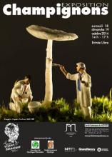 exposition champignons CJBNancy / Amyphar / SLM / octobre 2014