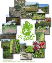 JASSUR : Jardins associatifs urbains et villes durables