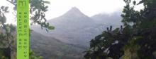 voyage nature au panama K.Astafieff 15 juillet 2015