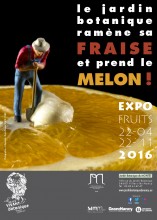 Conférence: Toxicité des fruits le 4 juin 2016 à 14h30 au Jardin botanique Jean-Marie Pelt 