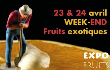 Week-end Fruits exotiques 23 & 24 avril au Jardin botanique Jean-Marie Pelt