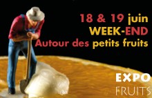 Week-end Autour des petits fruits 18 & 19 juin 2016 au Jardin botanique Jean-Marie Pelt