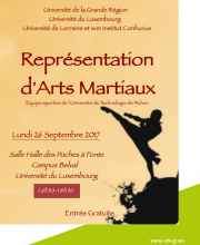 affiche arts martiaux