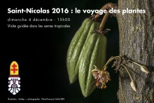 saint-nicolas : le voyage des plantes / visite guidée des serres / 15h00