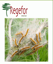 Affiche de l'atelier Regefor