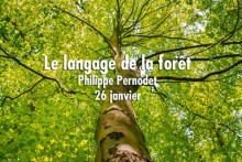 le langage de la forêt