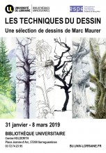 Les techniques du dessin : sélection d'oeuvres. Marc Maurer. 