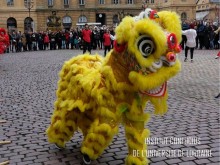 Retour en images: Manifestation culturelle du Nouvel an chinois 2019 de l'Institut Confucius de l'Université de Lorraine 