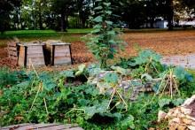 le jardin partagé