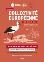  Collectivité Européenne d'Alsace - Nouvelle figure singulière dans le paysage institutionnel local ?