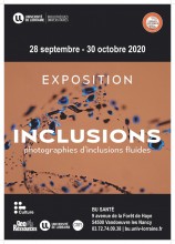 Exposition Inclusions BU Santé