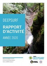 Rapport activité DEEPSURF 2020