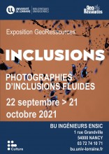 Affiche de l'exposition : "Inclusions"