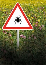 Dans une clairière, un panneau prévient de la présence de tiques