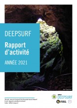 Le rapport d'activité du projet IMPACT DEEPSURF