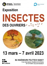 Affiche de l'expo : "Insectes"