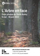 Affiche de l'expo : "L'arbre en face"