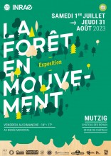 Affiche de l'exposition La forêt en mouvement