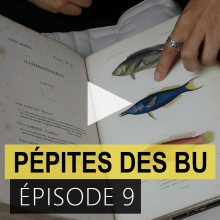 Pépites des BU - épisode 9