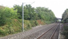 Photo d'un bord de voie ferrée envahier d'espèces invasives