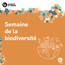 [Rendez-vous] La biodiversité se fête à l’Université de Lorraine