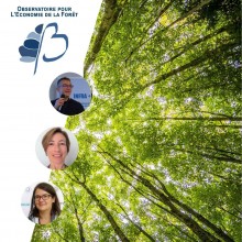 OLEF, la plateforme au cœur des forêts de demain !