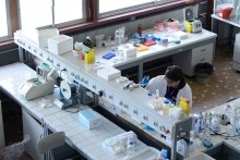 La paillasse du laboratoire