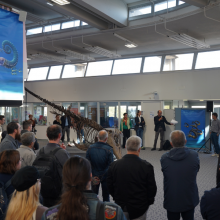 inauguration exposition monstres marins