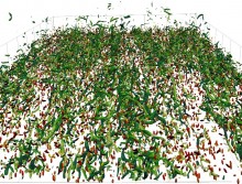 projet ICoPEC pour l’étude d’interactions inter-particulaires complexes