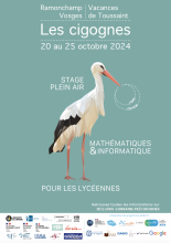 Affiche du stage de recherche en mathématiques et informatique Les Cigognes