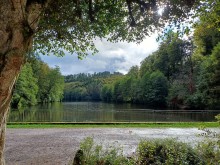 L'étang autour duquel les relevés ont eu lieu