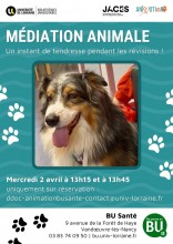 [Atelier] Médiation animale à la BU Santé 