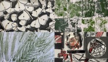 4 photos de présentation des travaux réalisés par les étudiants pour cette exposition autour de la nature