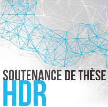 Habilitation à Diriger des Recherches - FALL Estelle - INSPIIRE
