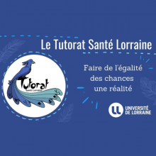 Renouvellement d’agrément et prix du tutorat innovant pour le Tutorat Santé Lorraine