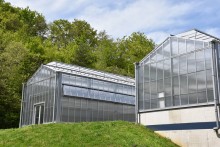 Fermalim' : serre connectée de l'IUT Nancy-Brabois