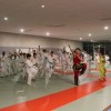 Institut Confucius, Arts Martiaux, Metz Judo