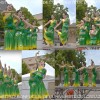 Danse traditionnelle chinoise - La beauté du paon