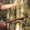 Abattage expérimental d'un arbre au moyen d'une hache en bronze reconstituée