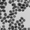 Nanoparticules d'or vues au microscope électronique