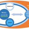 Représentation schématique du programme HILL : notre vision de l’évolution des cursus