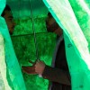 les patrouilles de parapluie