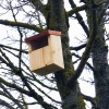 hôtels à insectes sur le campus Brabois Santé