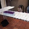 Des kits, composés de masques lavables et de gel hydro-alcoolique, ont été distribués aux étudiants