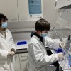 PCR sous hotte au Laboratoire Tous Chercheurs de Nancy