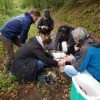Les étudiants sont penchés au-dessus des prélèvements pour filtrer de l'eau